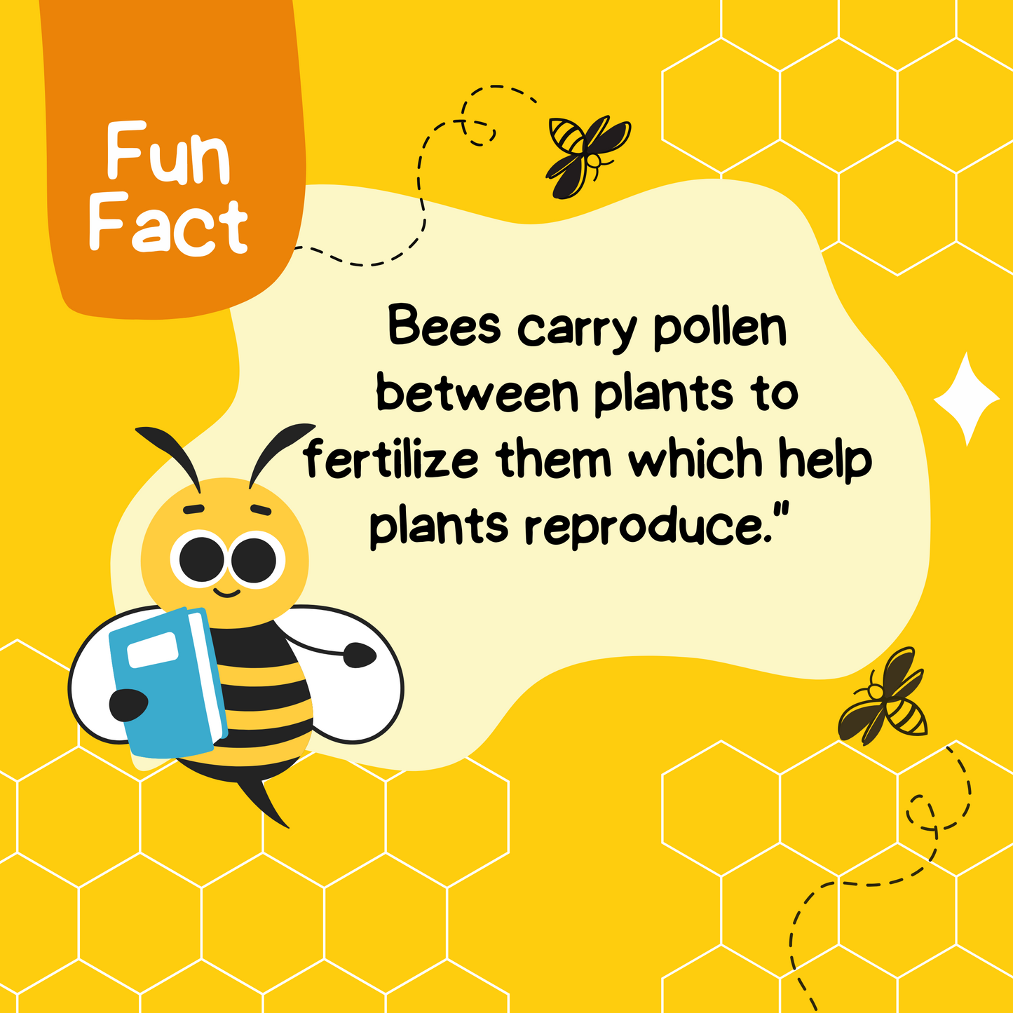 Love Bees Collection