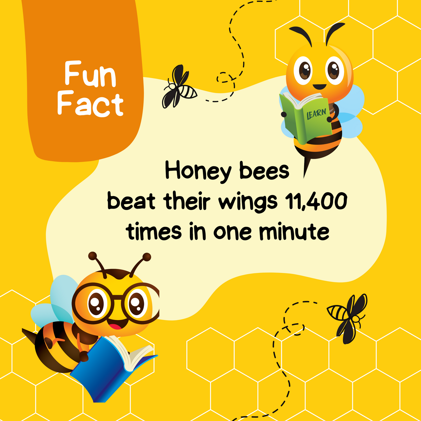Love Bees Collection