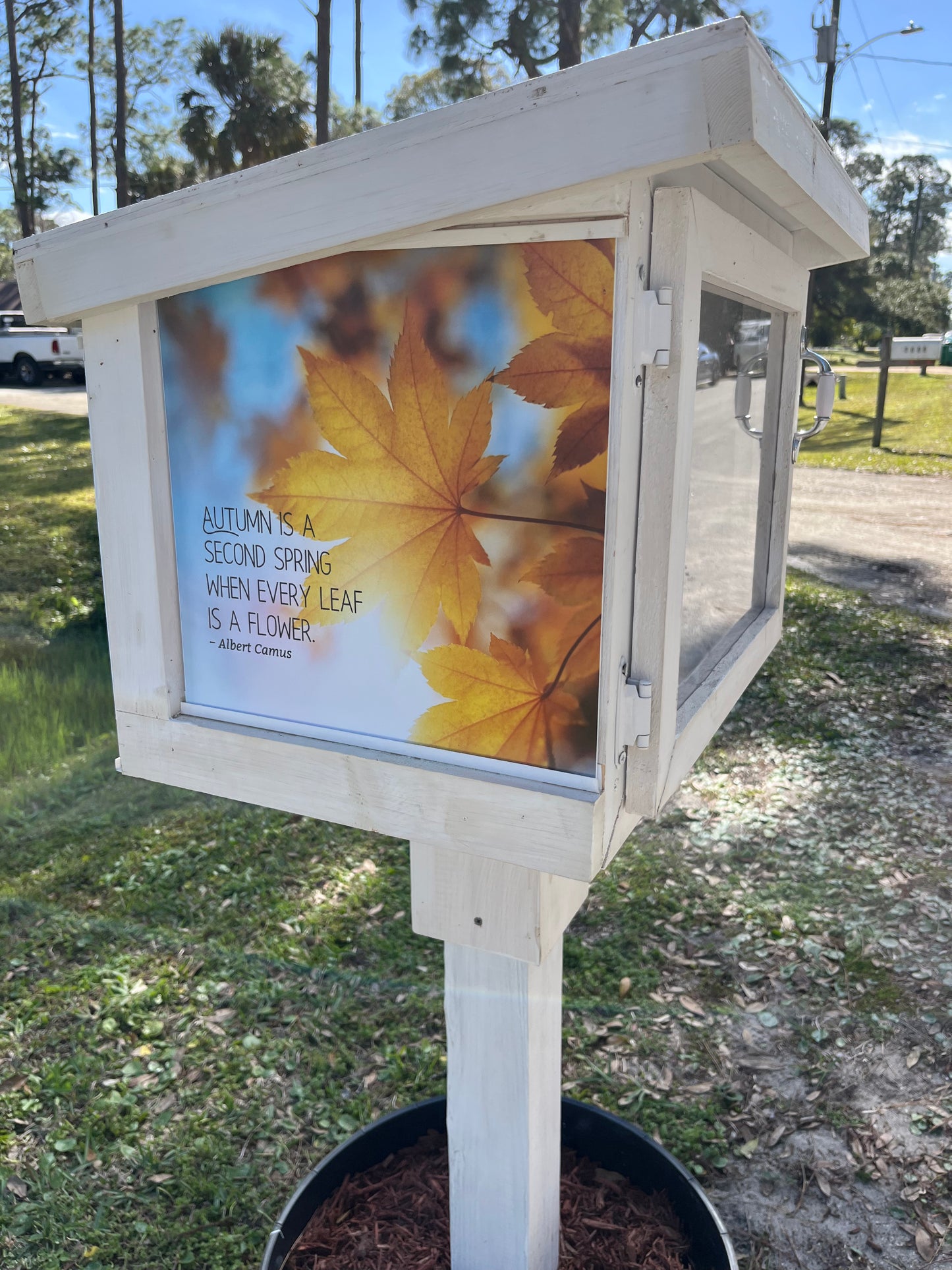Novel Idea Neighborhood Library (does not include post or planter)